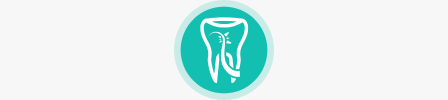 triodent